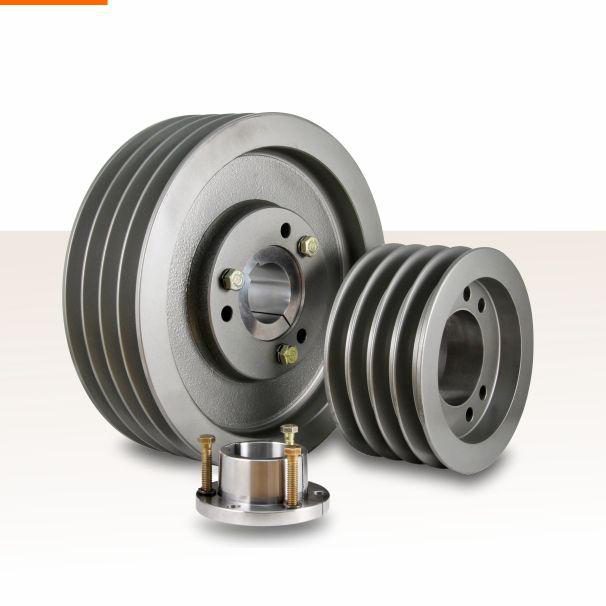 POLEA 5C 300  P/CONO QD   RIZZ